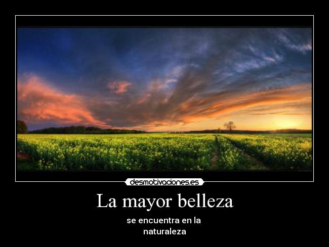 La mayor belleza - se encuentra en la
naturaleza