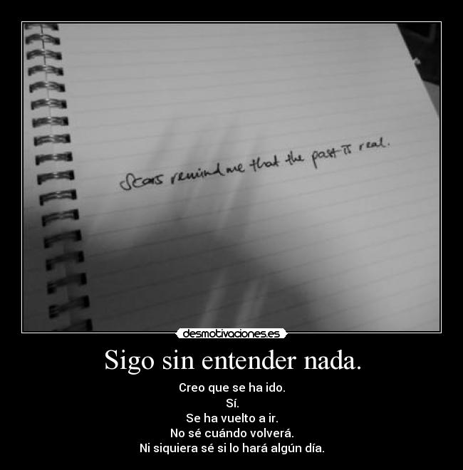 Sigo sin entender nada. -
