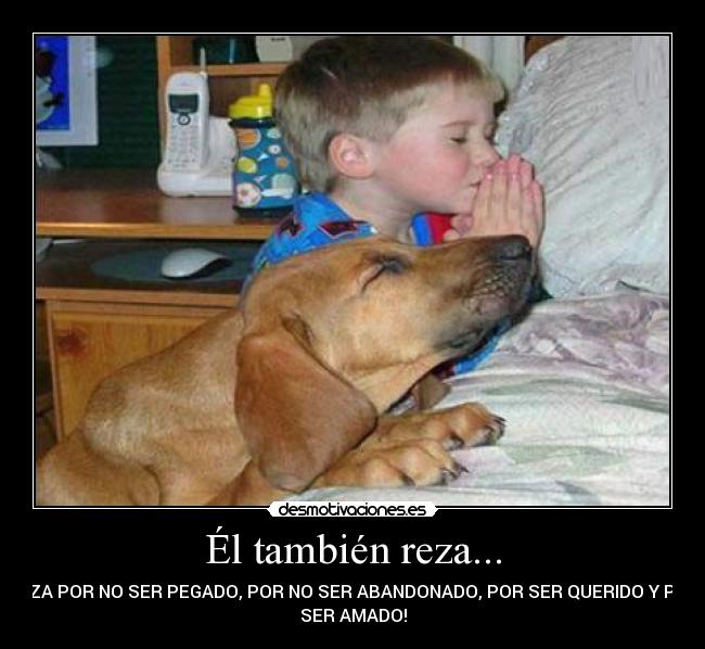 Él también reza... - REZA POR NO SER PEGADO, POR NO SER ABANDONADO, POR SER QUERIDO Y POR
SER AMADO!
