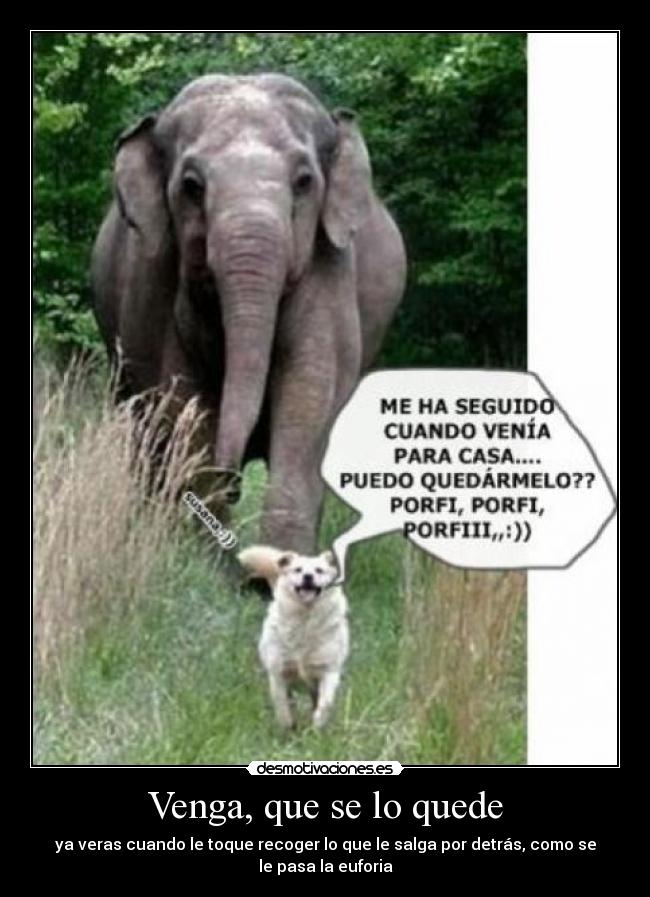 carteles desmotivaciones