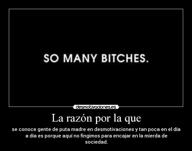 La razón por la que - 