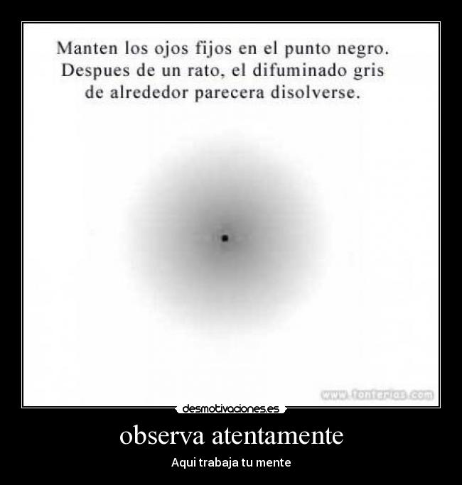 observa atentamente - 