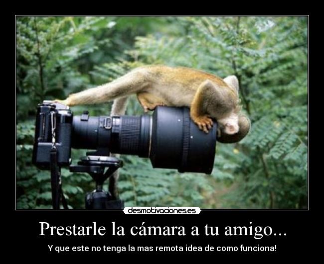 Prestarle la cámara a tu amigo... -
