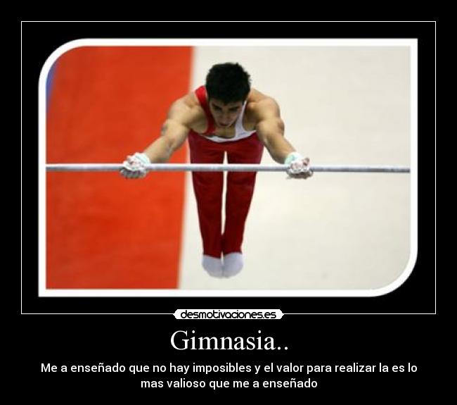 carteles leicer desmotivaciones