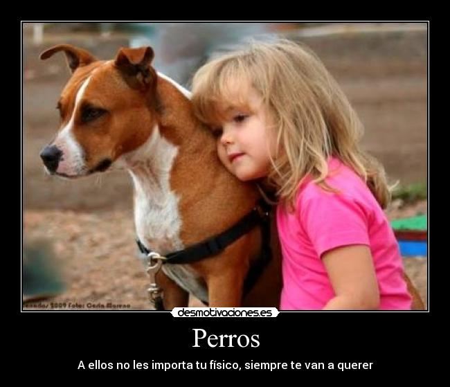Perros - A ellos no les importa tu físico, siempre te van a querer