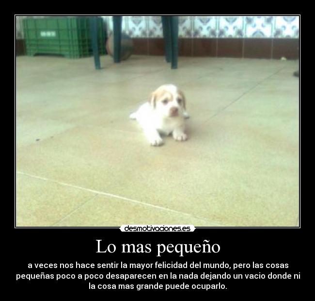 carteles deseo desmotivaciones