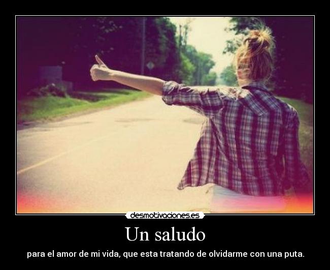 Un saludo - 