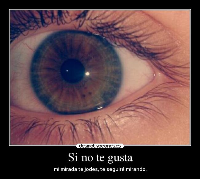 Si no te gusta - mi mirada te jodes, te seguiré mirando.