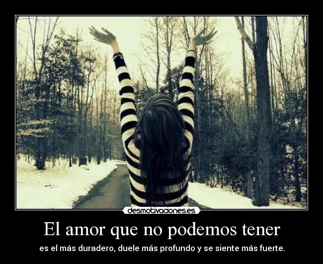 El amor que no podemos tener - 