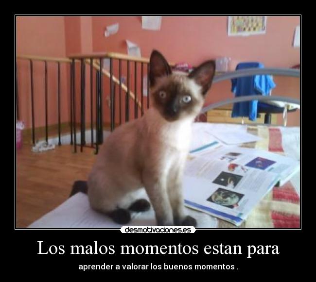 Los malos momentos estan para -
