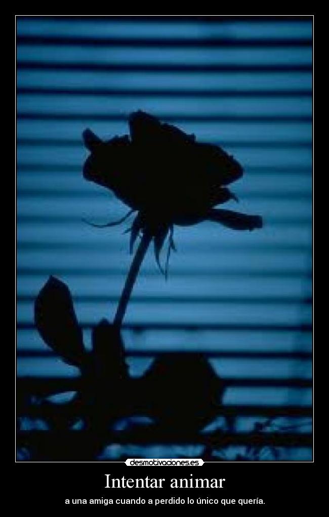 Intentar animar - 