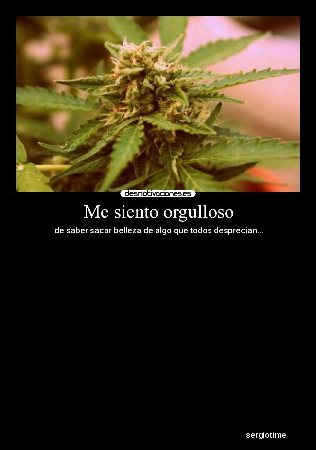 Me siento orgulloso -