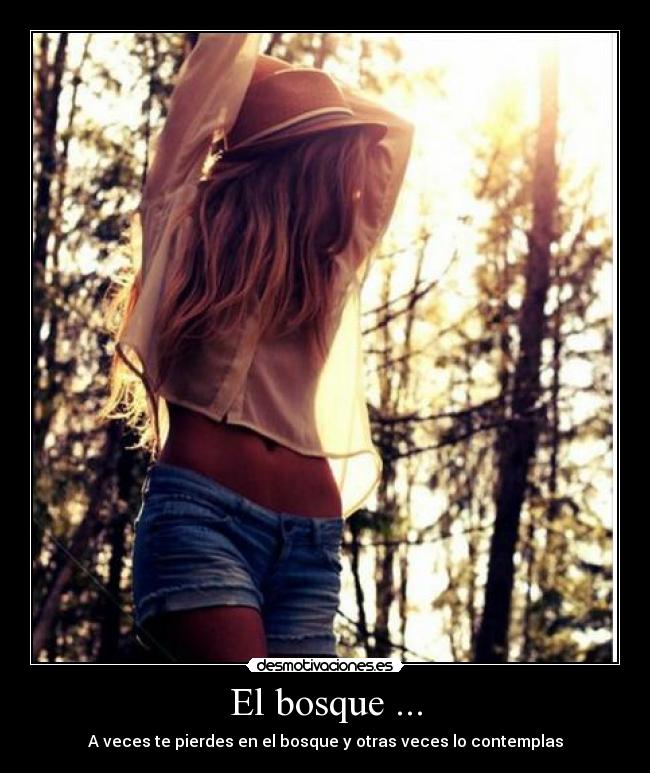 El bosque ... - A veces te pierdes en el bosque y otras veces lo contemplas
