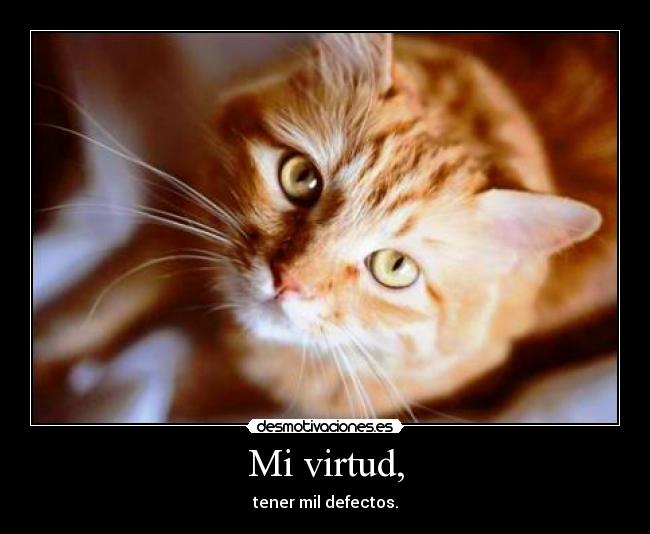 Mi virtud, - tener mil defectos.