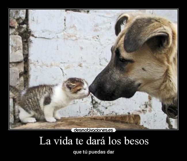 La vida te dará los besos - que tú puedas dar