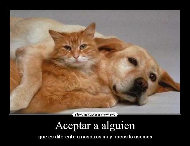 Aceptar a alguien - que es diferente a nosotros muy pocos lo asemos