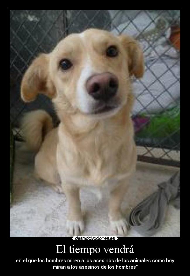 El tiempo vendrá - en el que los hombres miren a los asesinos de los animales como hoy
miran a los asesinos de los hombres”