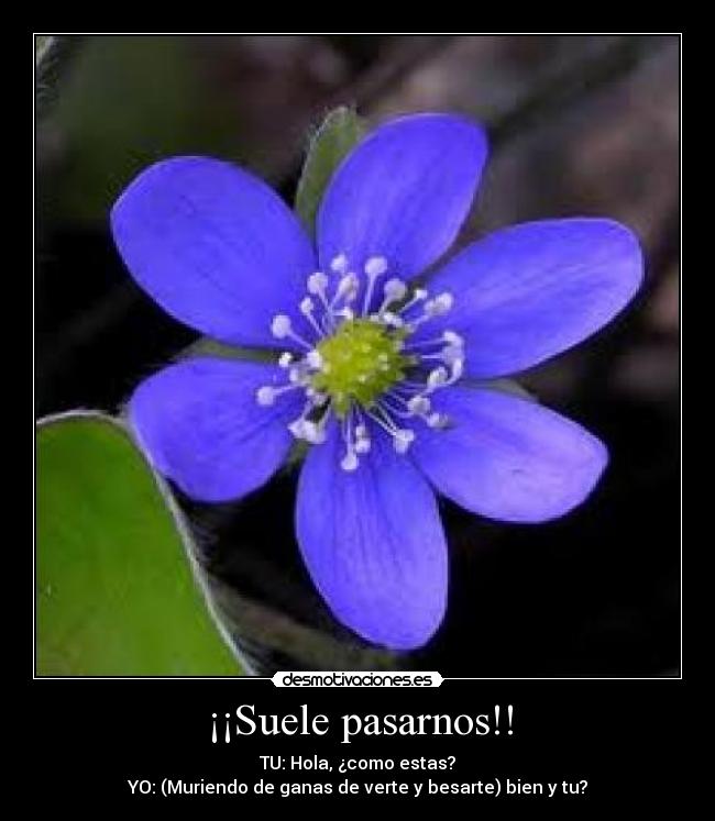 ¡¡Suele pasarnos!! - 