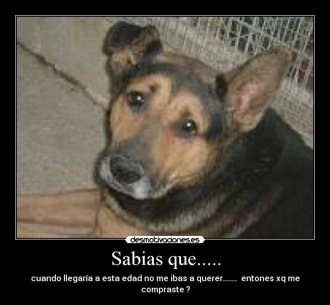 Sabias que..... -