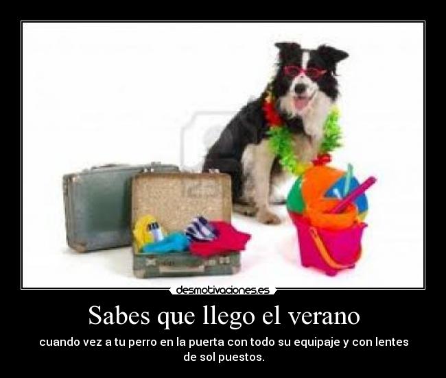 Sabes que llego el verano - 