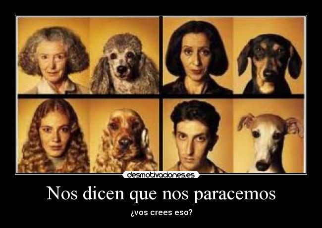 Nos dicen que nos paracemos -