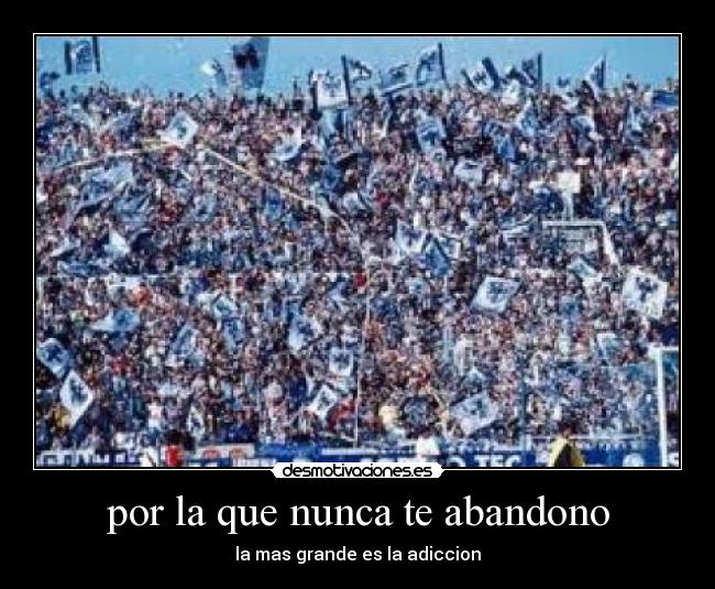 carteles rayadikt0mar desmotivaciones