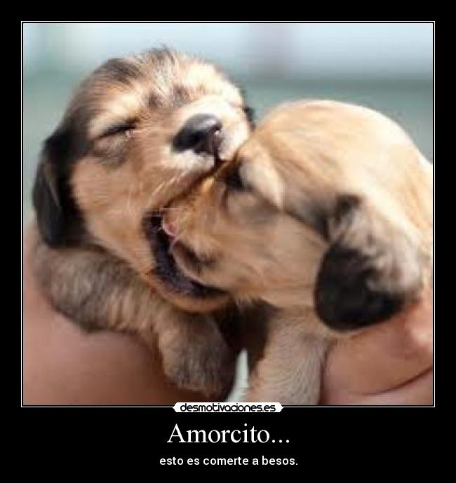 Amorcito... - esto es comerte a besos.