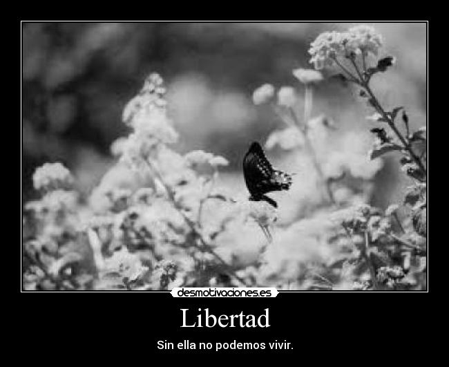 Libertad - Sin ella no podemos vivir.