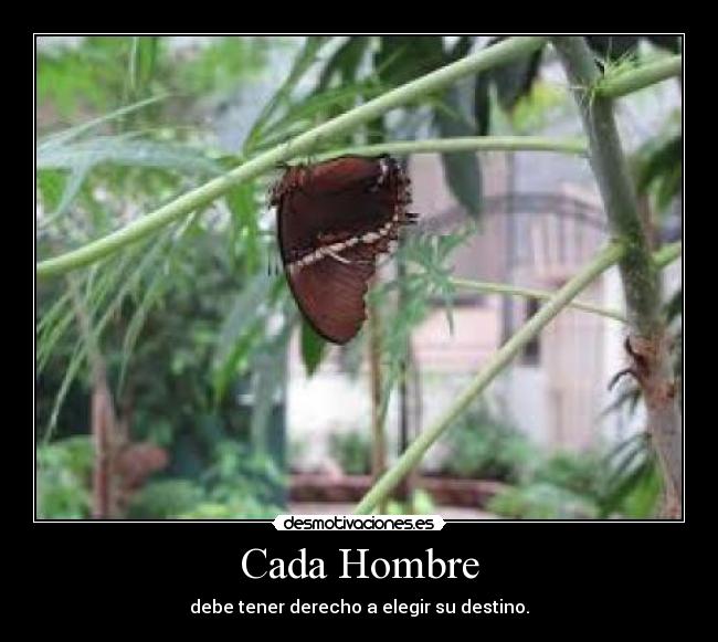 Cada Hombre - debe tener derecho a elegir su destino.