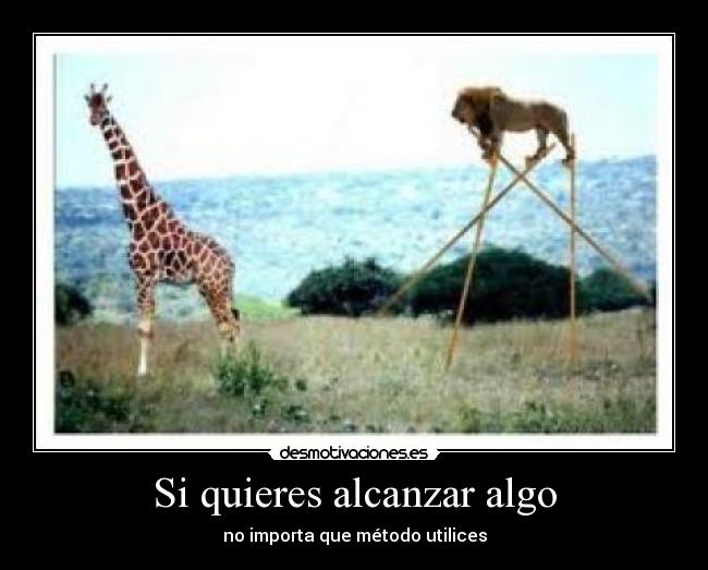 carteles wapipoyo desmotivaciones