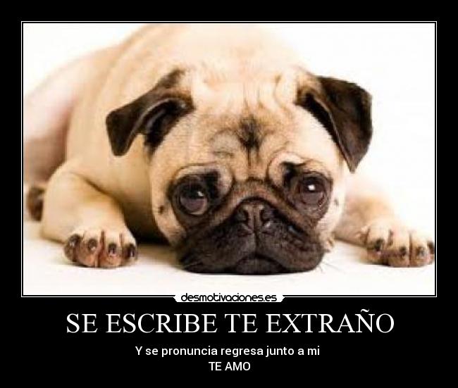 SE ESCRIBE TE EXTRAÑO - Y se pronuncia regresa junto a mi 
TE AMO