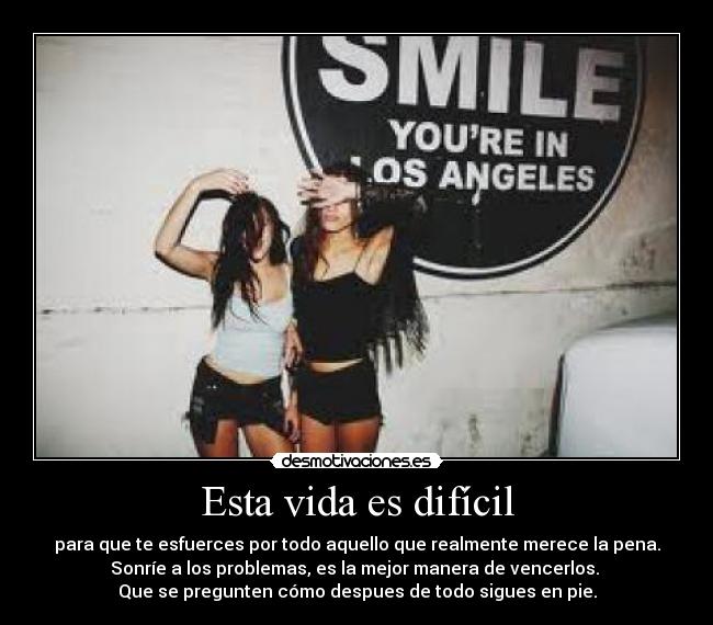 carteles vida lovepocholate desmotivaciones