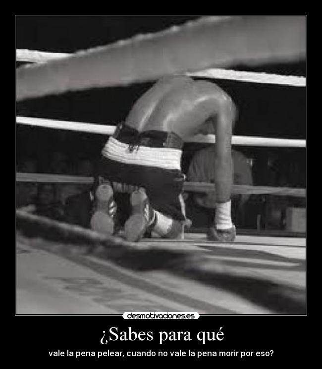 ¿Sabes para qué - vale la pena pelear, cuando no vale la pena morir por eso?