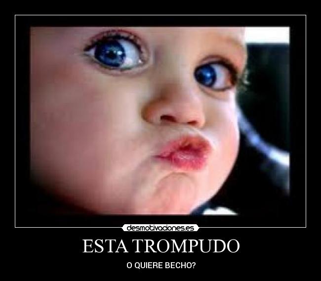 ESTA TROMPUDO - 