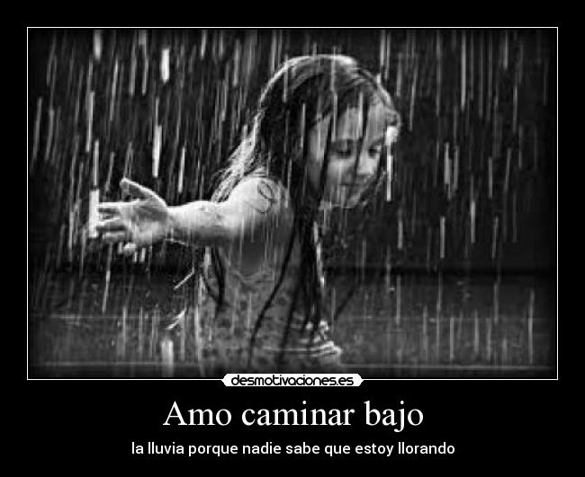 Amo caminar bajo - 