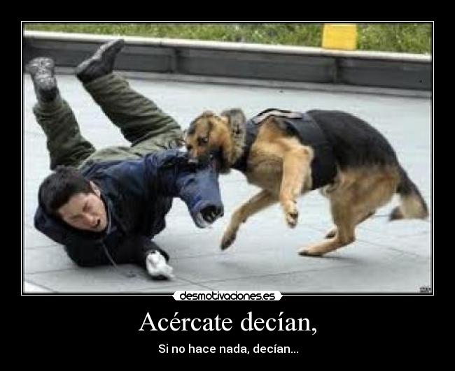 Acércate decían, - 