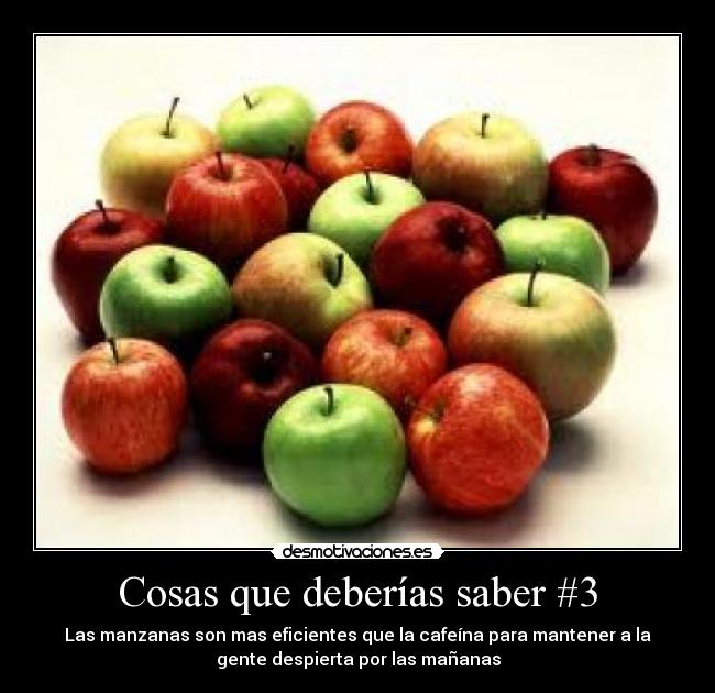 Cosas que deberías saber #3 - Las manzanas son mas eficientes que la cafeína para mantener a la
gente despierta por las mañanas