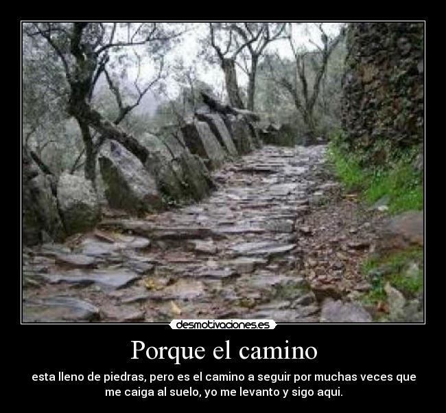 Porque el camino - esta lleno de piedras, pero es el camino a seguir por muchas veces que
me caiga al suelo, yo me levanto y sigo aqui.