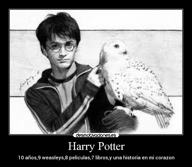 Harry Potter - 10 años,9 weasleys,8 peliculas,7 libros,y una historia en mi corazon