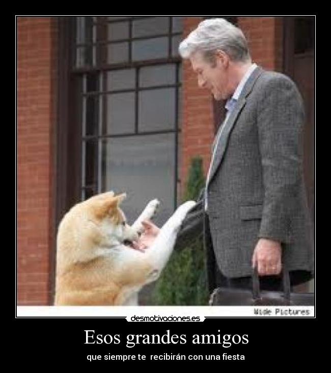 carteles amigos hachike desmotivaciones
