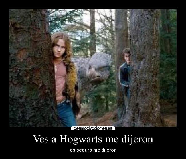 Ves a Hogwarts me dijeron - es seguro me dijeron