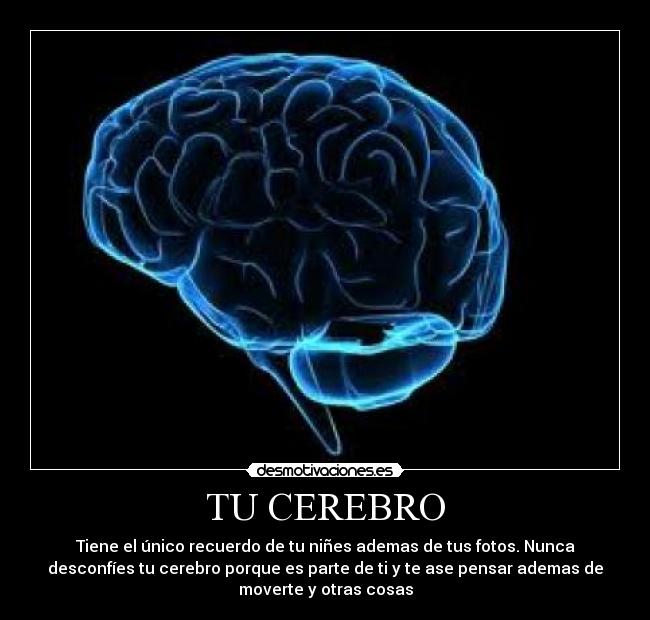 TU CEREBRO - Tiene el único recuerdo de tu niñes ademas de tus fotos. Nunca
desconfíes tu cerebro porque es parte de ti y te ase pensar ademas de
moverte y otras cosas