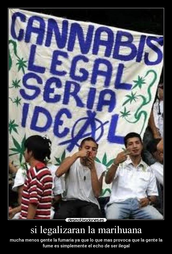 si legalizaran la marihuana - 