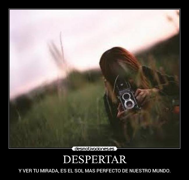 carteles lovepocholate desmotivaciones
