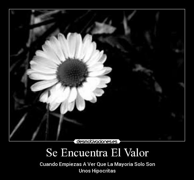 Se Encuentra El Valor - Cuando Empiezas A Ver Que La Mayoria Solo Son
Unos Hipocritas