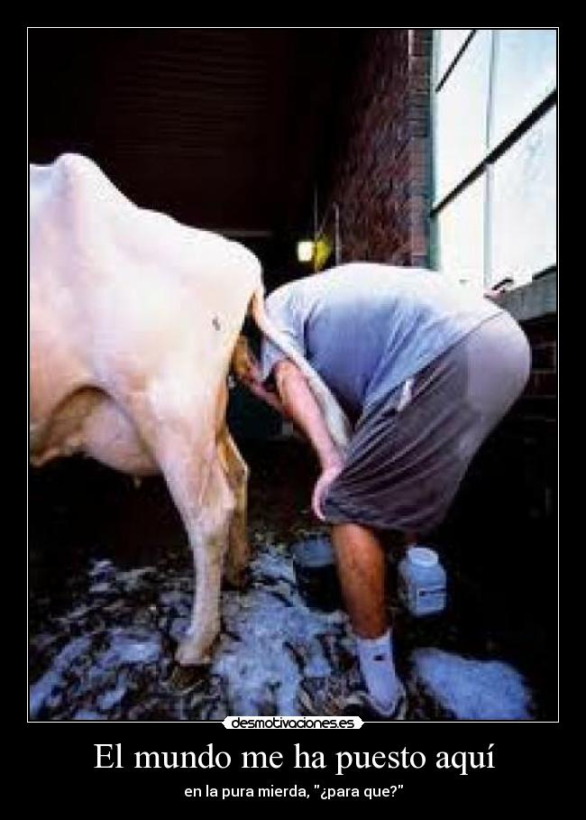 carteles mundo maldito karma desmotivaciones