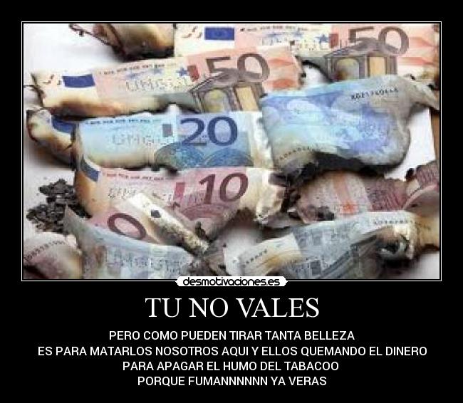 carteles dinero quemado desmotivaciones