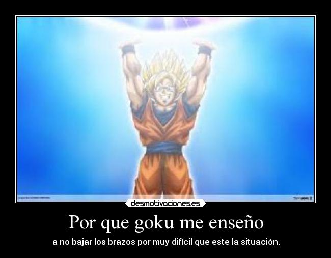 Por que goku me enseño -
