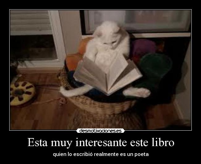 Esta muy interesante este libro - quien lo escribió realmente es un poeta
