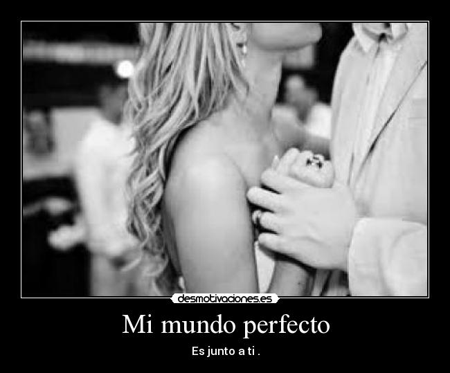 Mi mundo perfecto -